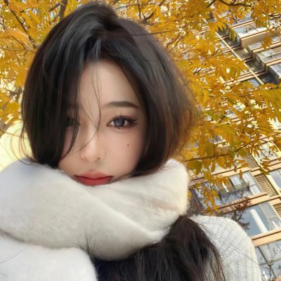 惩戒者